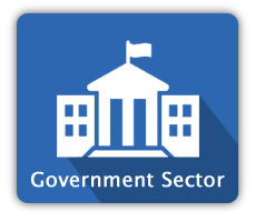 Government sector